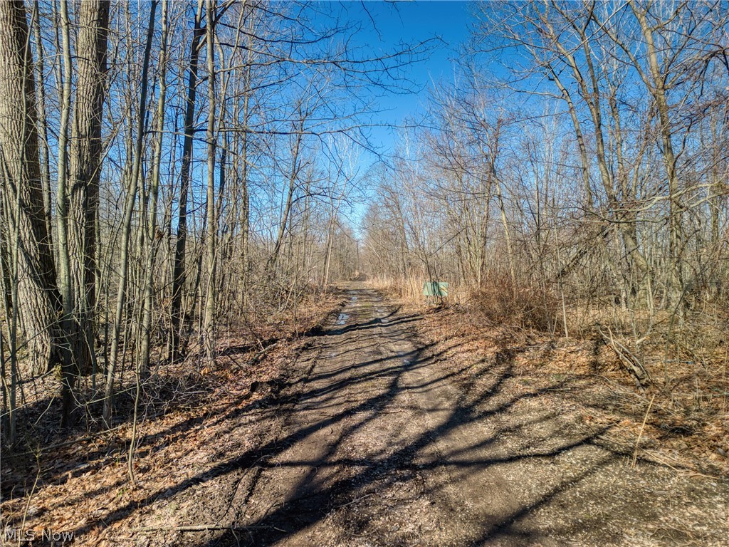 Madison Township 01 - Land