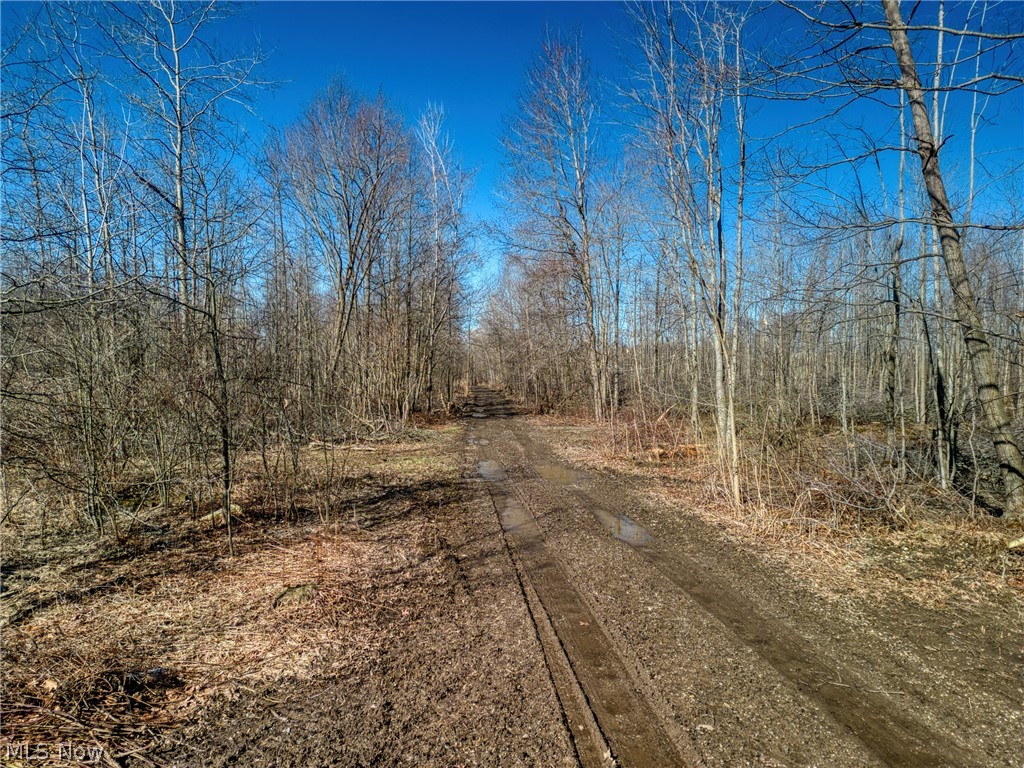 Madison Township 01 - Land