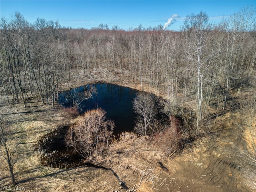Madison Township 01 - Land
