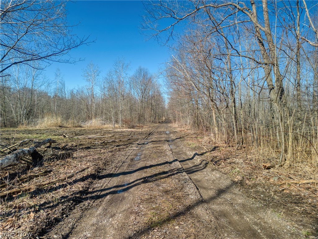 Madison Township 01 - Land