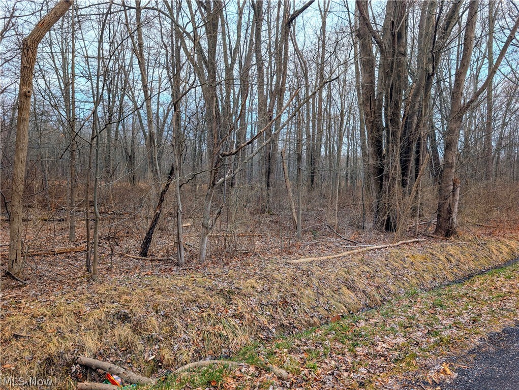 Madison-On -The-Lake - Land