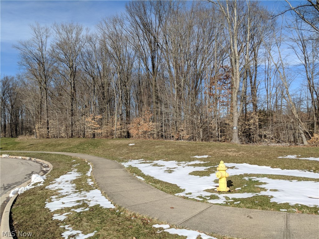 Come build your dream home in Solon!  Fantastic opportunity on a 4+ acre cul-de-sac lot!  Bring your own builder and start making your home style selections today!  Buyer responsible for all due diligence with city of Solon Building requirements.