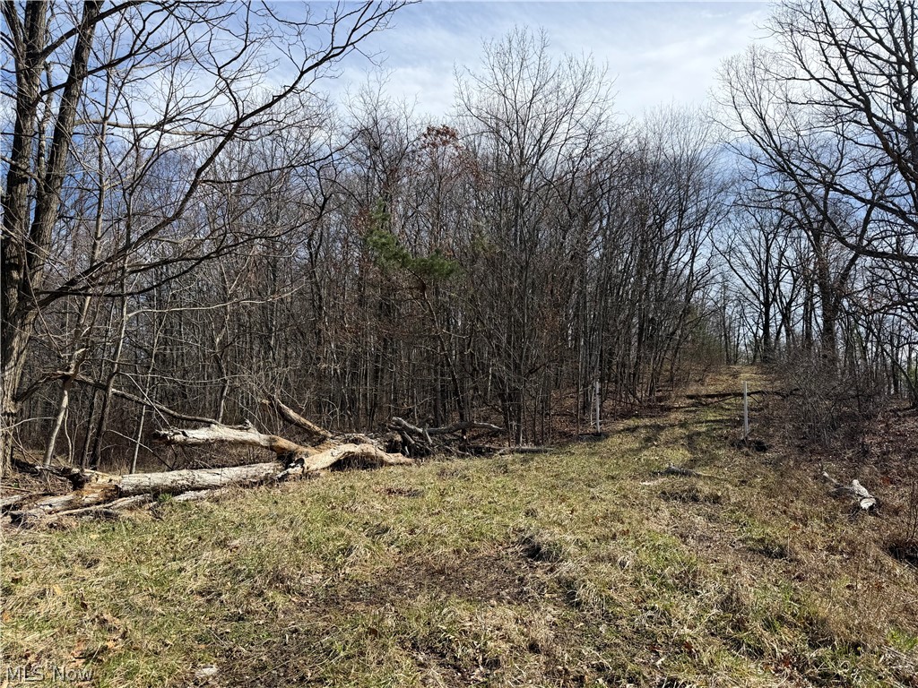 Escape to the outdoors with this 6-acre mostly wooded property in Tippecanoe, perfect for hunting, recreation, or a private weekend getaway. The property features a rustic cabin with sleeping space and living area, offering a convenient basecamp for enjoying the surrounding nature. Electric service is already on site, providing added functionality for the cabin and future possibilities. Whether you're looking for your own hunting retreat, recreational property, or a quiet place to unwind, this unique acreage offers plenty of opportunity.