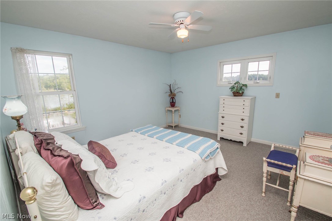 Muzzy Lake - Residential