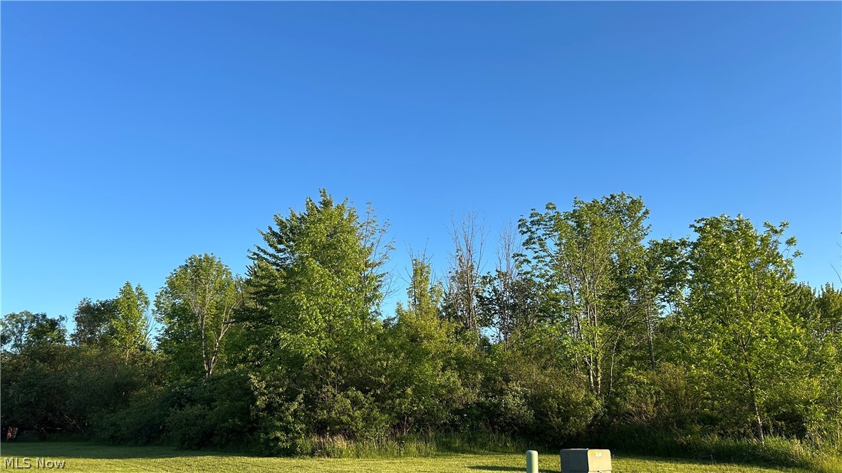 Having trouble finding the house of your dreams? Want a new ranch or 2 story house? Build! Build your dream house right on this lot!  Best lot in the whole development. It sits up nice and high. Great sized lot that is not too big or too small--just right at 1.41 acres. Electric is run underground. City water and natural gas are available for tap in. 
Perfect mix of relaxed rural living while still being close to I90 and all that the area has to offer. So close you have a large local family farm stand that sells all sorts of fruits and veggies. Not too far you have the lake, GOTL, Ashtabula Harbor, and all the wineries. Sit back and enjoy watching the birds, deer, and other wildlife in the neighborhood.
This is one of those spots that is private but still connected.