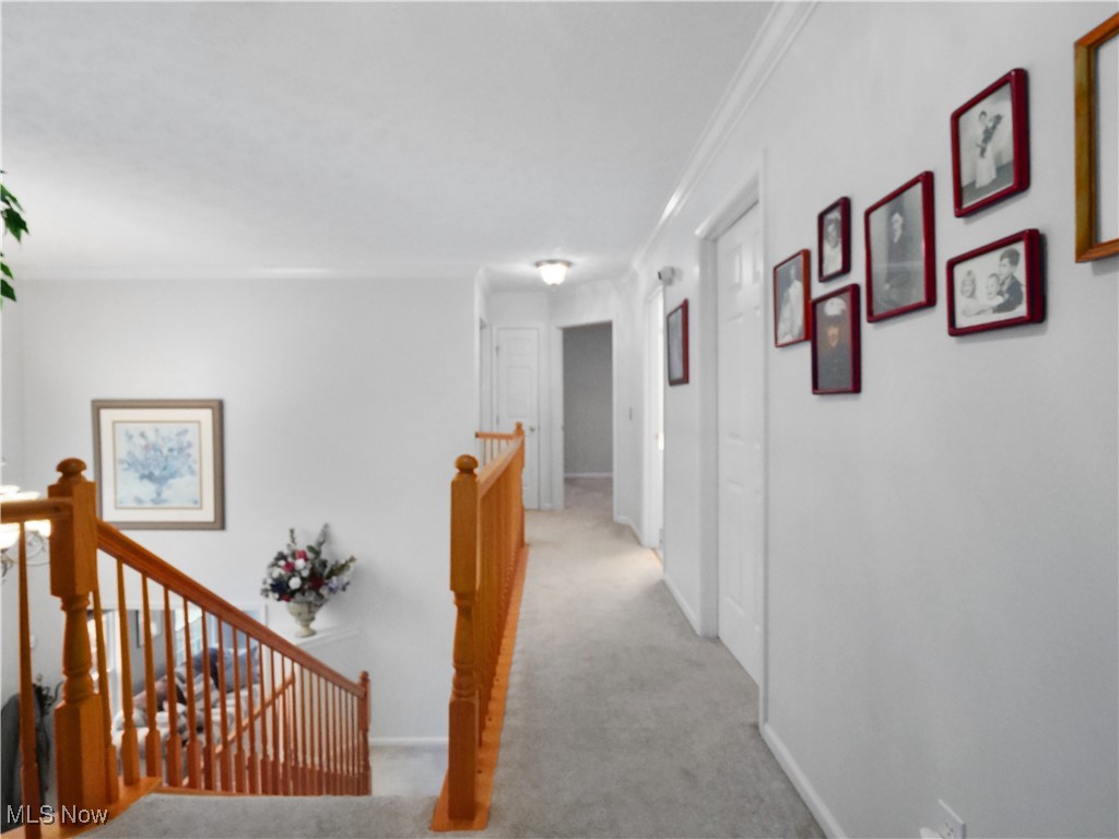 Falls Pointe - Residential