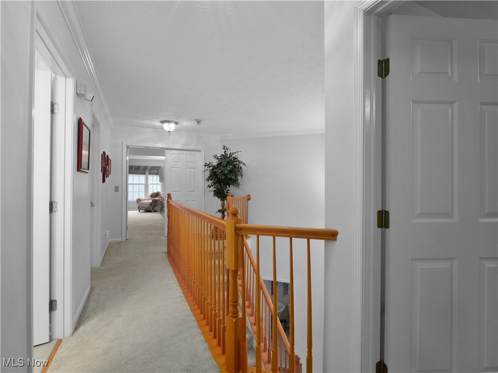 Falls Pointe - Residential