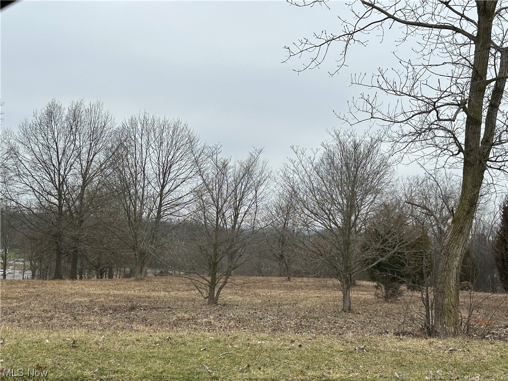 Fantastic Opportunity knocks! To all businesses and business owners here is a 5.5 acre Commercial lot in the growing City of Green! This lot is in the heart of it all and surrounded by growing businesses. This lot has been nicely maintained and is ready for you to break ground! Don't Miss out!