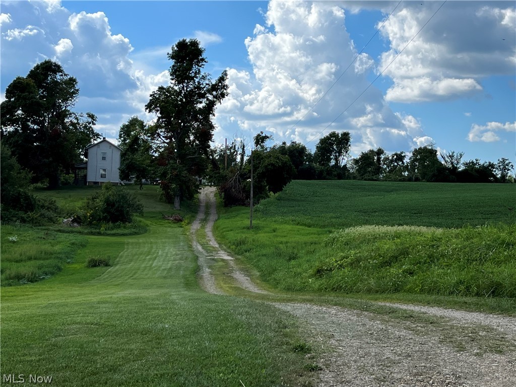 Beautiful 100 acre farm in western Knox County. It is mostly tillable acreage with an older home in need of TLC.