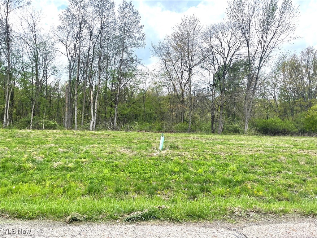 This buildable .53 acre partially wooded lot is on a dead end street and is located in the Perry Local School District. Lot is level and has 60' of frontage and is 383' deep. Public water and public sewer. Directions: Erie St. to east on Forest Ave. SE. to south on Candell St.