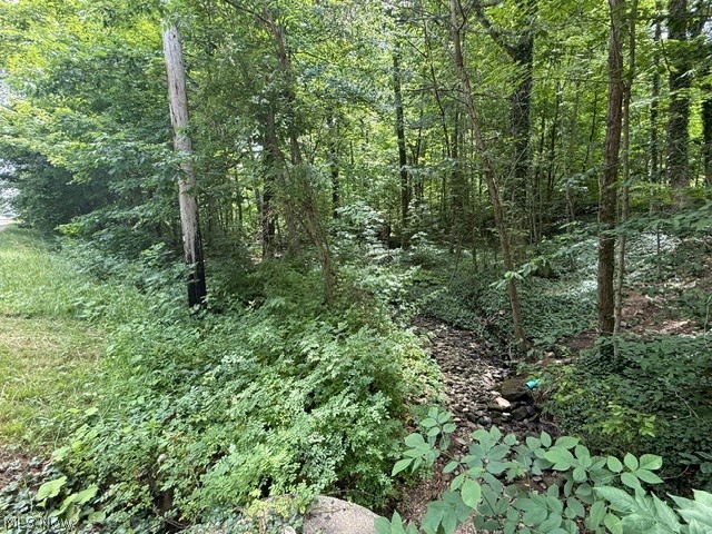 Chardon Acres - Residential