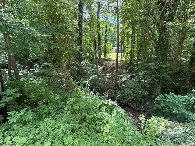 Chardon Acres - Residential