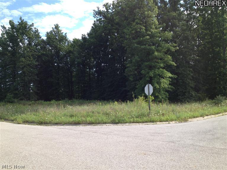 Tappan Subdivision aka Terra Cove - Land
