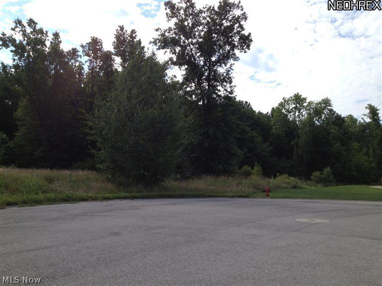 Tappan Subdivision aka Terra Cove - Land