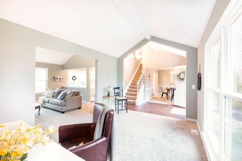 Geauga Lake Orchard - Residential