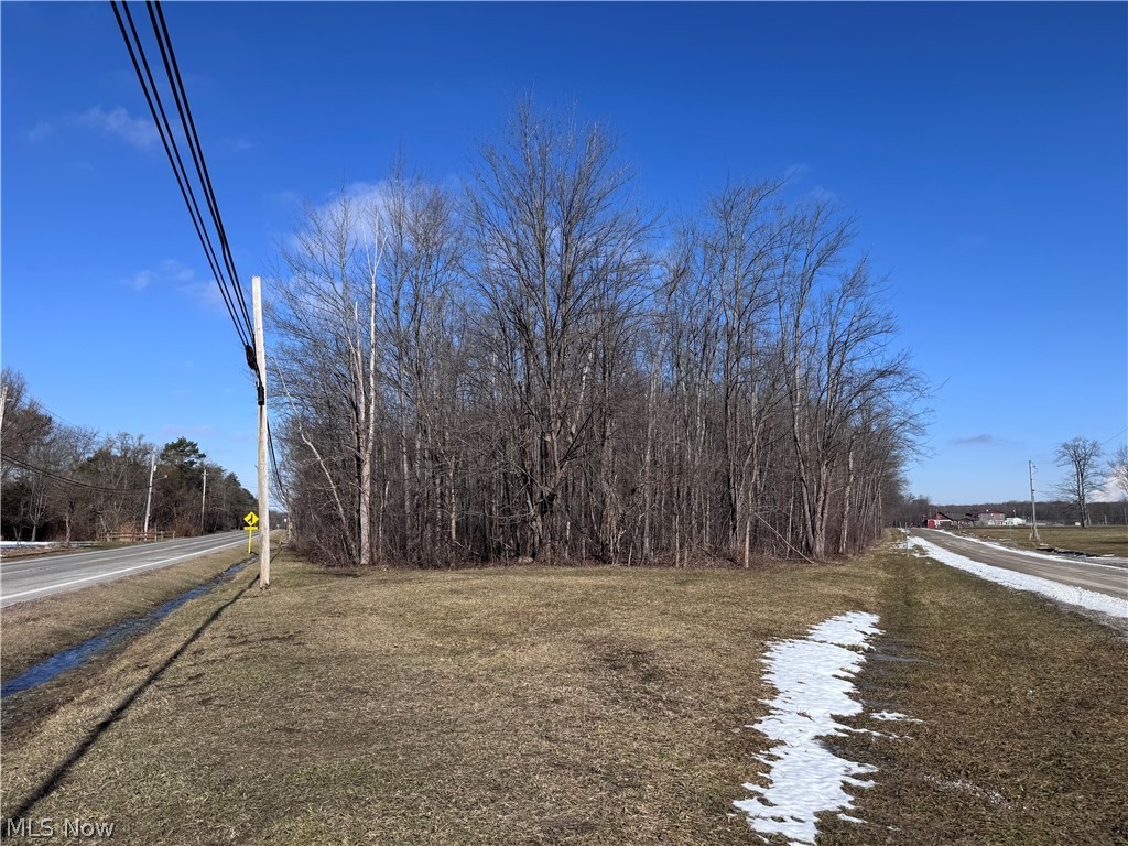 You don't want to miss this rare opportunity if you have been searching for a wooded building lot! Nestled in the heart of downtown Leroy, these fully wooded lots offer an ideal setting for your dream home. The property sits adjacent to Leroy Township Park and the ball fields, in close proximity to Capps Pizza and Leroy Country Store, and only minutes from I-90.
Bring your builder and start planning your build for this spring. The seller has already completed the soil tests.  Additional lots are also available.