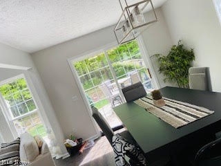 Woodhaven Beach - Residential
