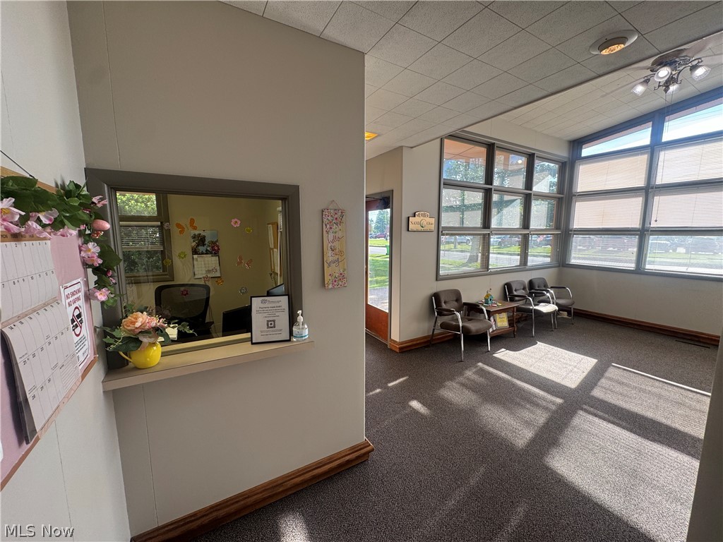 C D Swans Add - Commercial Sale