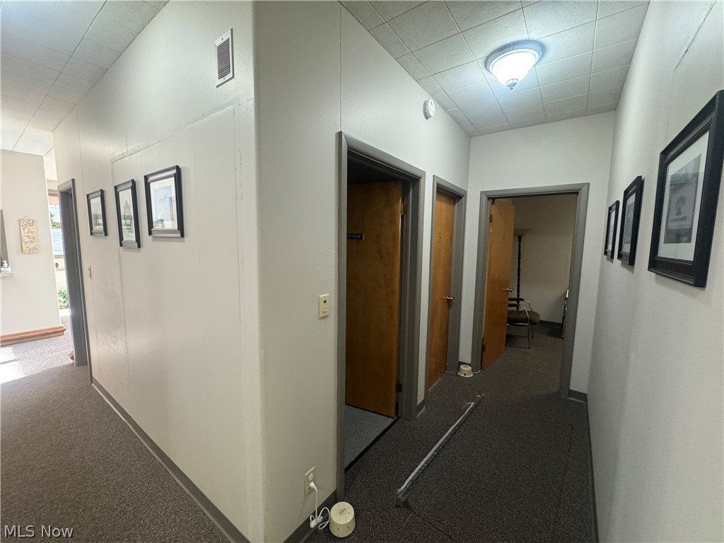 C D Swans Add - Commercial Sale