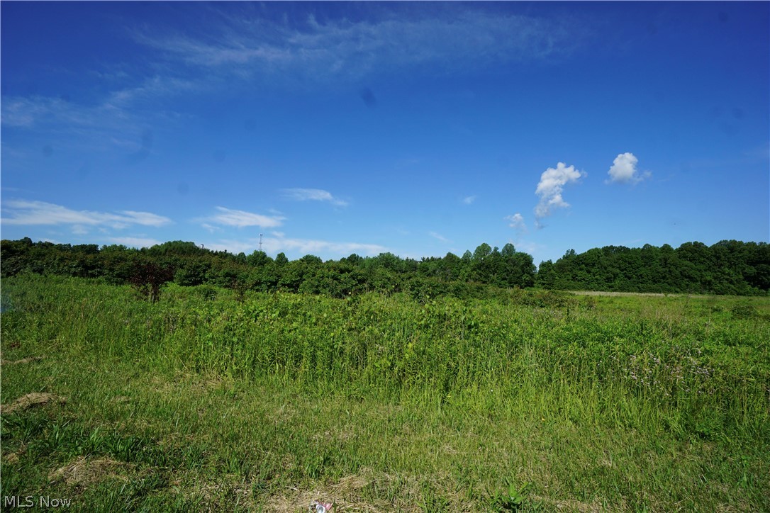 Madison 4 - Land
