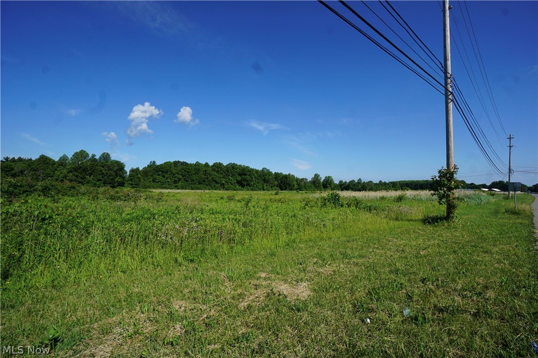 Sealed bid reserve auction. The list price shown is the starting bid price at auction. The auction date (July 31 @ 3 PM) is the deadline for bids but an offer could be accepted at any time so submit your offer ASAP. This 31.59 acre (+/-) parcel is an amazing opportunity for a savvy investor or owner user. Zoned B-2 (& A-1) so it supports a wide range of commercial uses. Directly adjacent to Walmart, Circle K, Classic Clean Auto Wash, and Mary’s Diner and surrounded by national tenants including: Aldi, Sheetz, Verizon and more. Over 16,500 VPD on N. Ridge Rd. and 9,900+ on Green Rd. assures a lot of eyes on your signage. User friendly buyer format lets you submit offers with contingencies, so let’s make a deal now before someone else snags this gem. Utilities are available at the street.