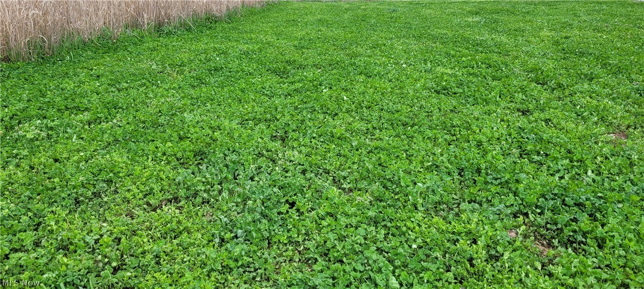 United States Military Lands - Land
