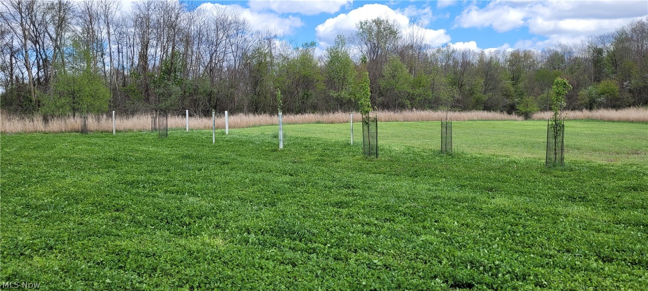 United States Military Lands - Land