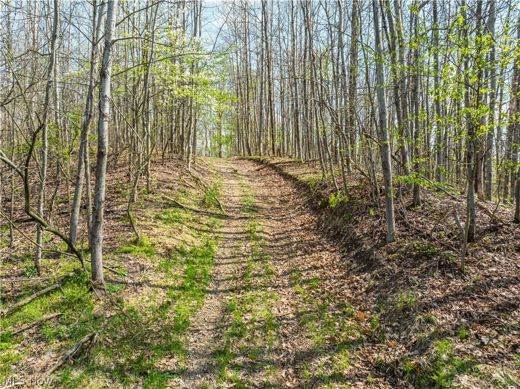 United States Military Lands - Land