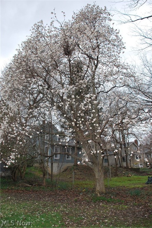 Kent - Residential