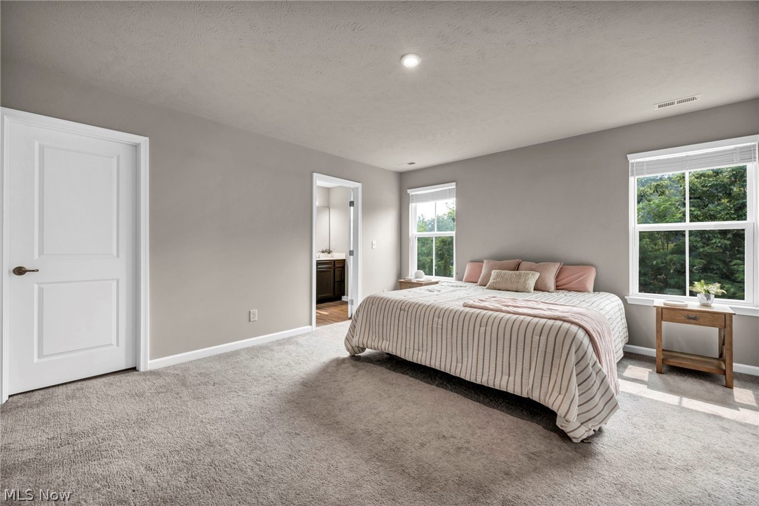 Hillshire Woods Condo 2 Ph 1 - Residential