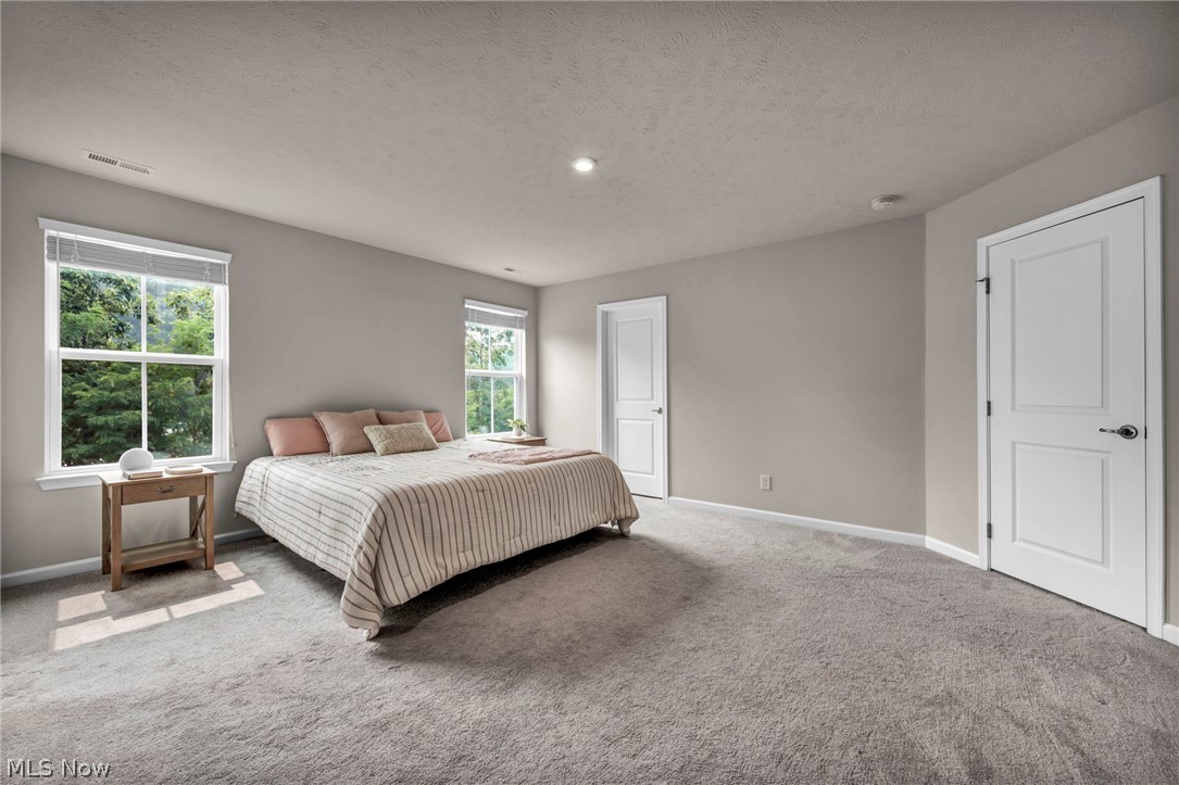 Hillshire Woods Condo 2 Ph 1 - Residential