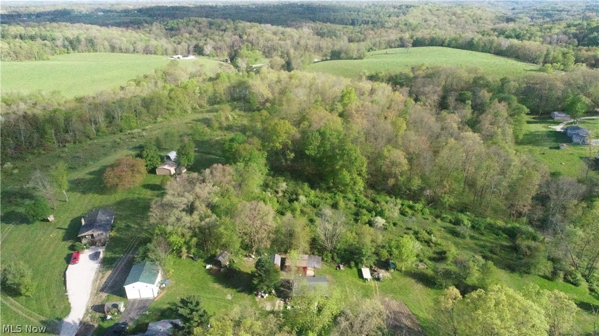 Beautiful 14+ acres for sale in Carrollton. Two parcels which are divided into 7 acres and 7+ acres, one much more wooded than the other. Seller would prefer to sell entire property together. Both have frontage on Ivory Rd. Mineral Rights to transfer, Oil and Gas rights lease can be renewed by new owner. Electric easement through the property. Cement pad from previous mobile home, which has been removed. There is a capped and abandoned well and septic from the same home.