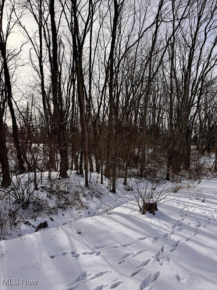 City/Wadsworth - Land