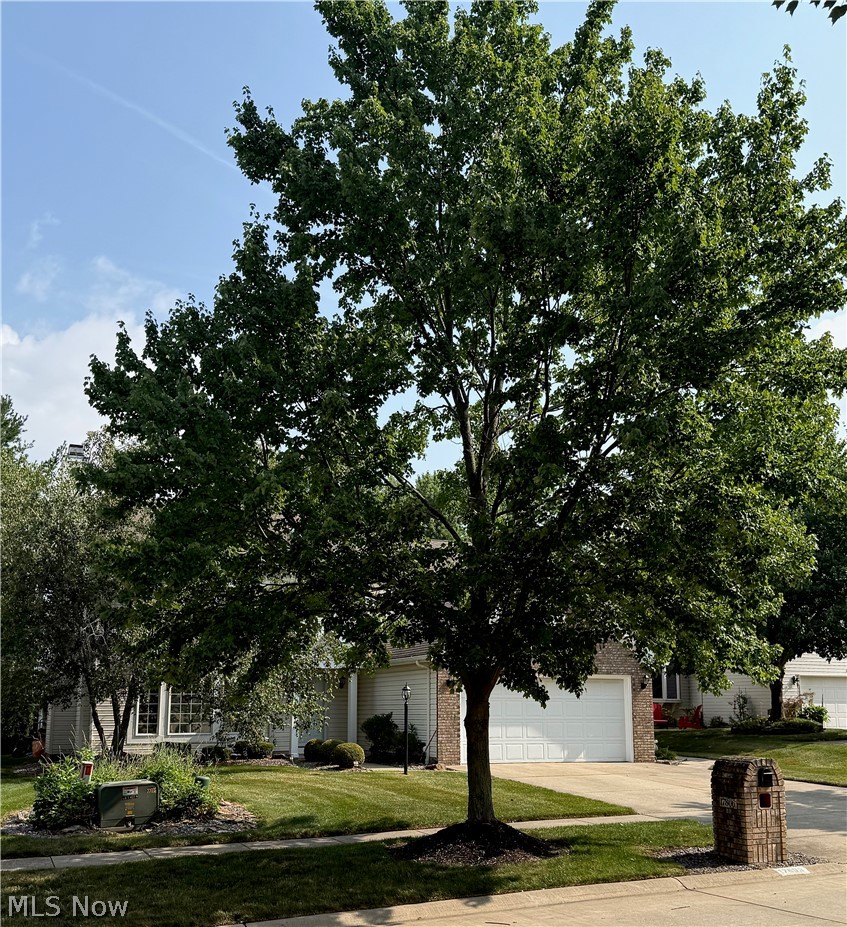 Trenton Village 02 - Residential