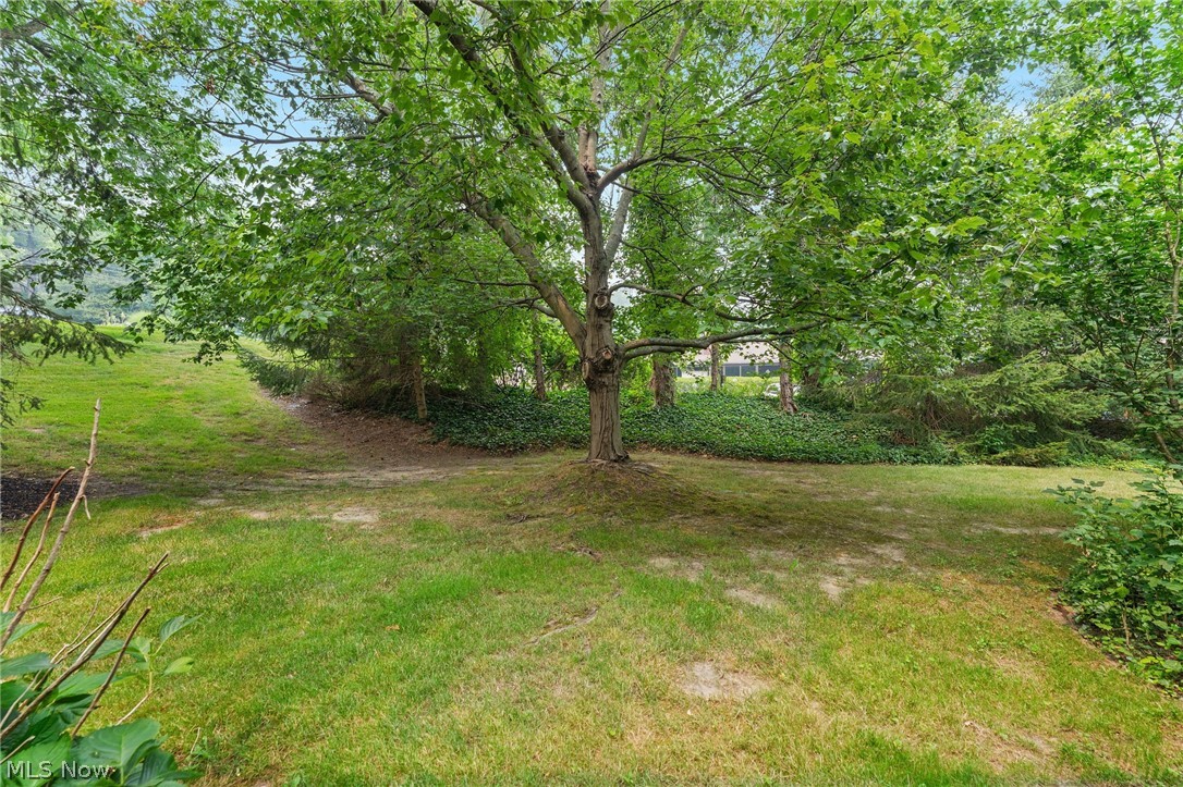 Greystone Condo - Residential