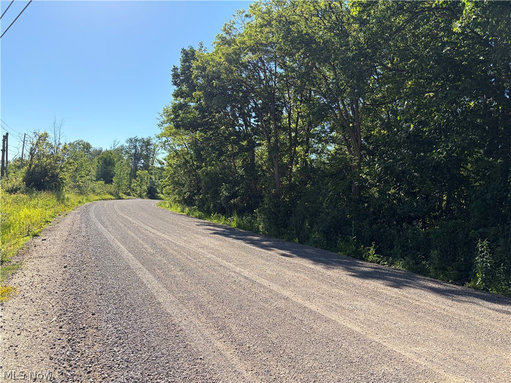 Connecticut Western Reserve - Land