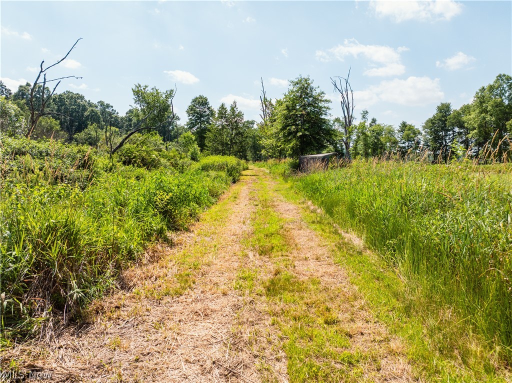 United States Military Lands - Land