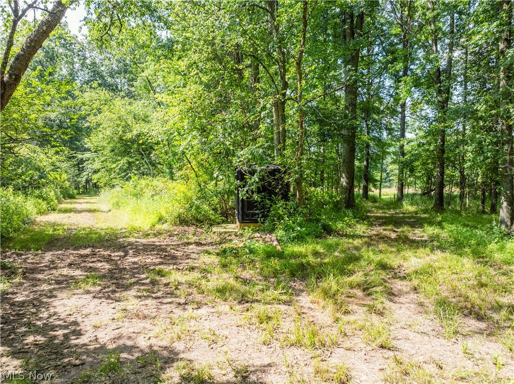 United States Military Lands - Land