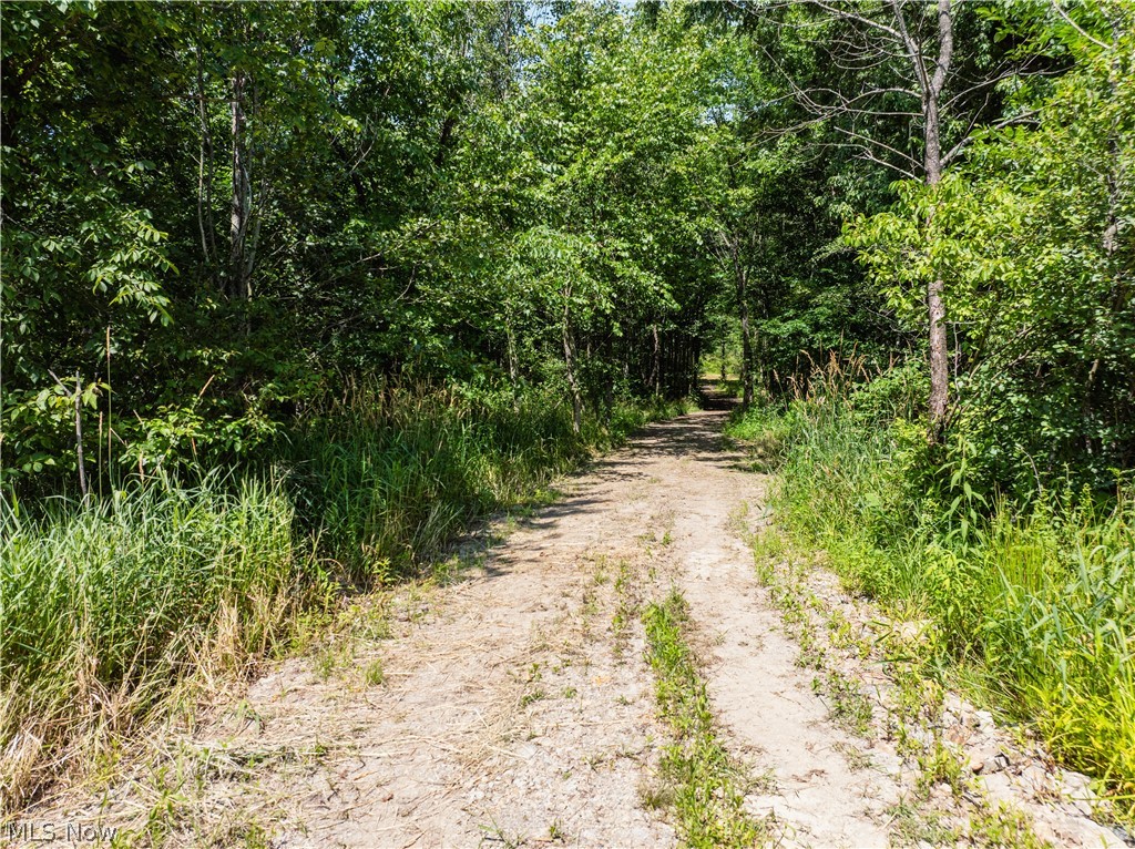 United States Military Lands - Land