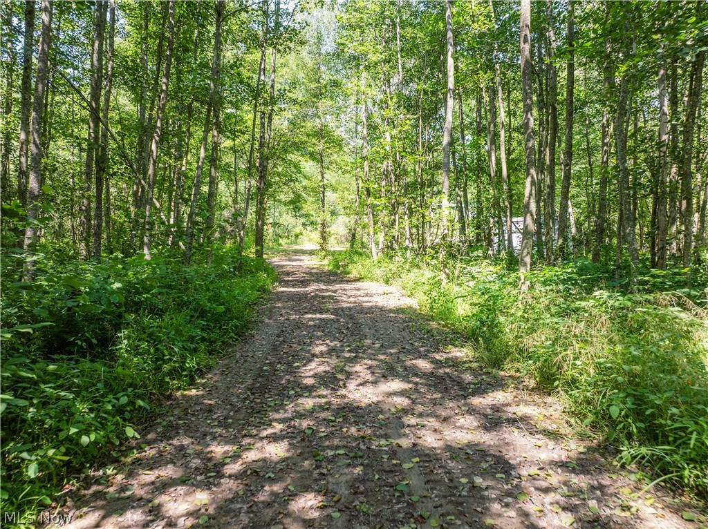 United States Military Lands - Land