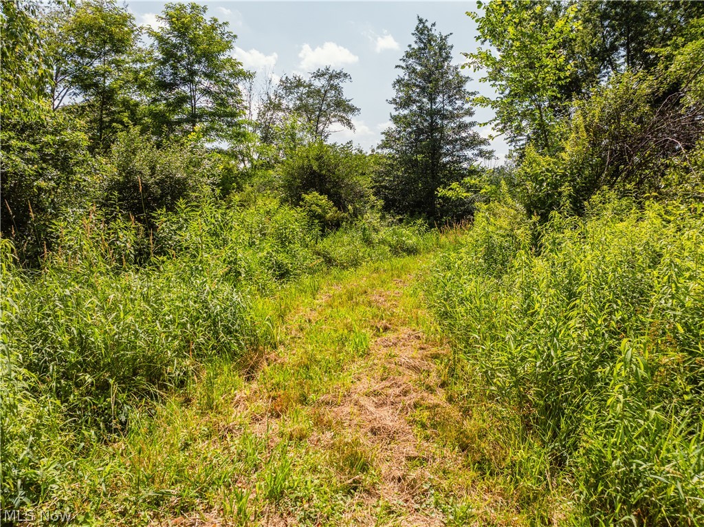 United States Military Lands - Land