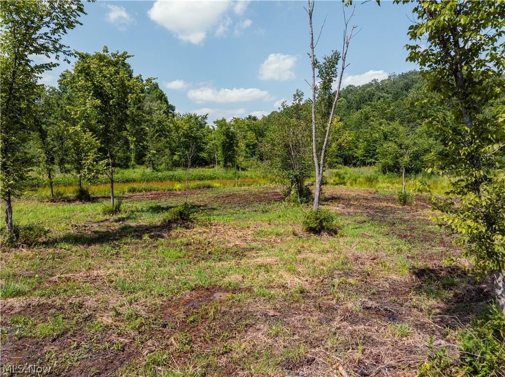 United States Military Lands - Land