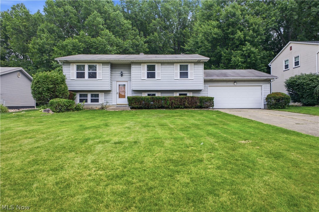 Hitchcock Woods - Residential