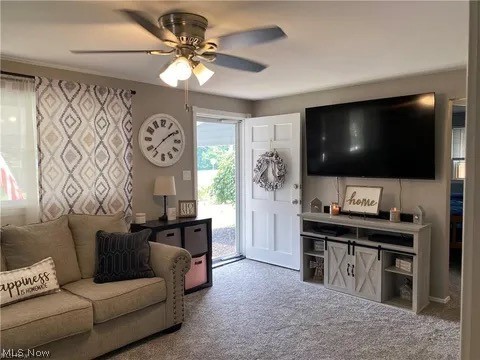 Wickliffe Clovermead Rep - Residential