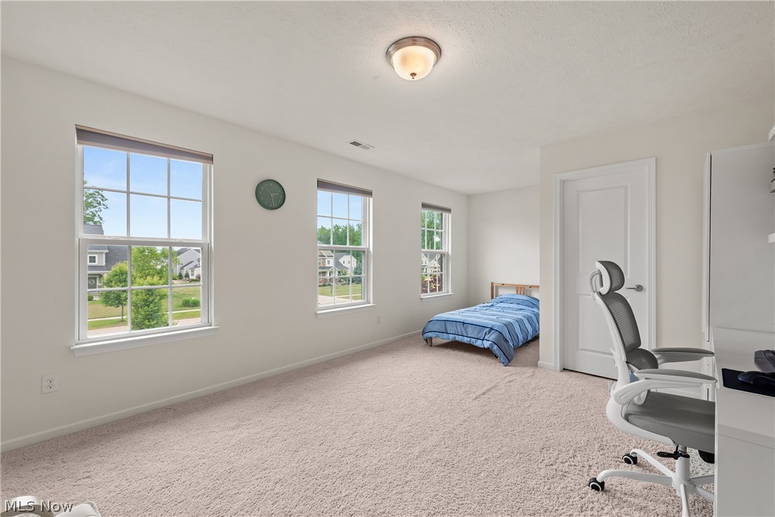 Palmer Village Sub 5 - Residential