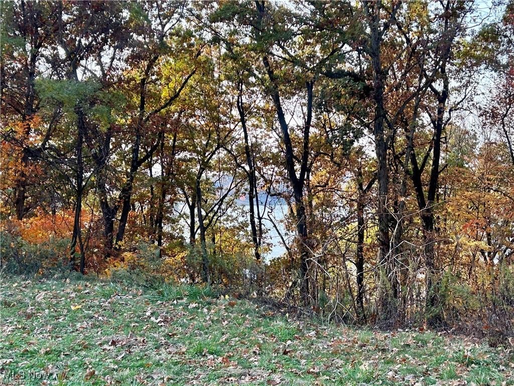 Lake Mohawk - Land