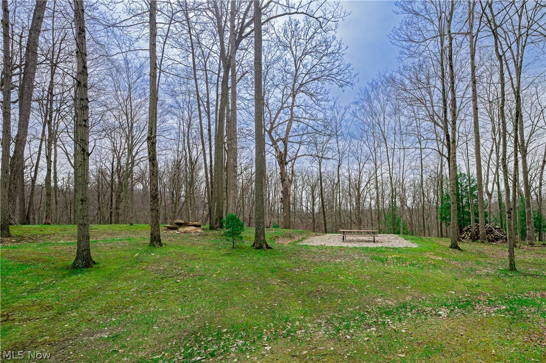 Tract #3 - Land
