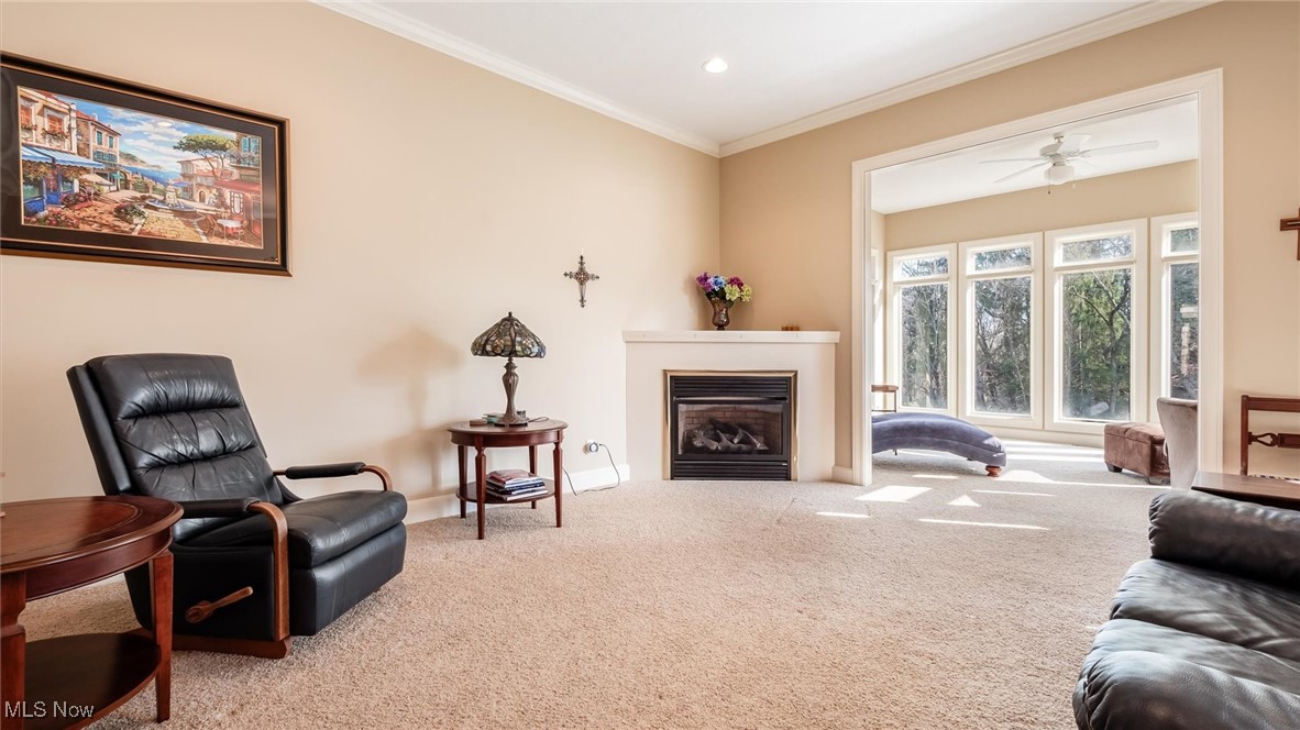 Village At Joes Run - Residential