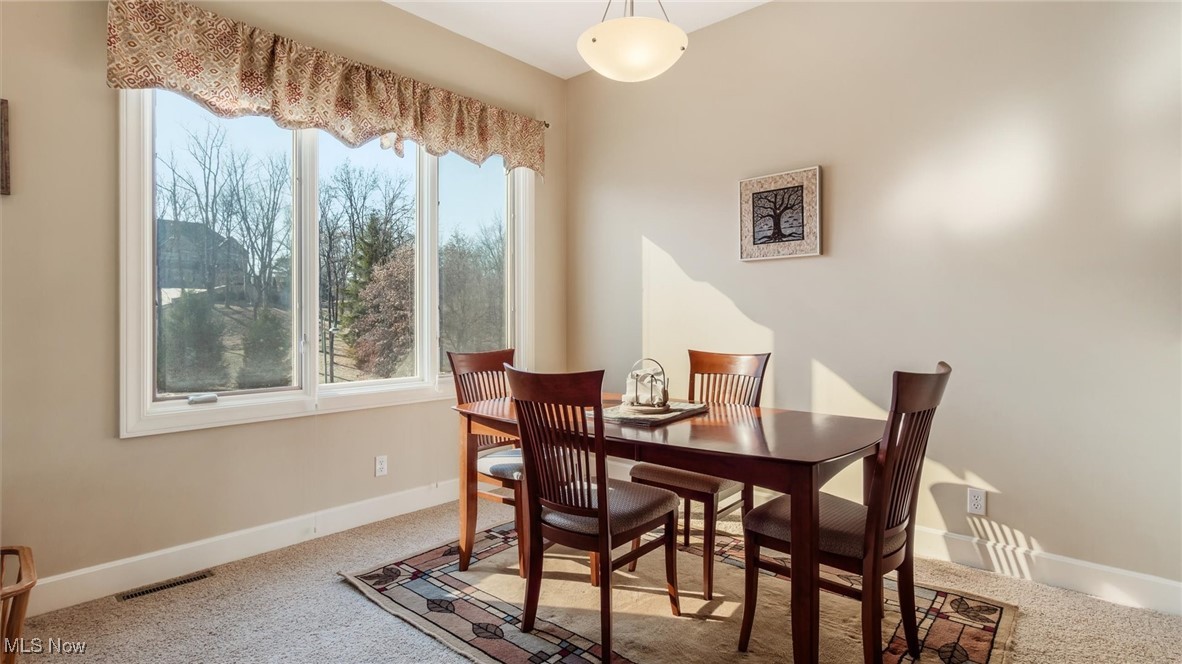 Village At Joes Run - Residential