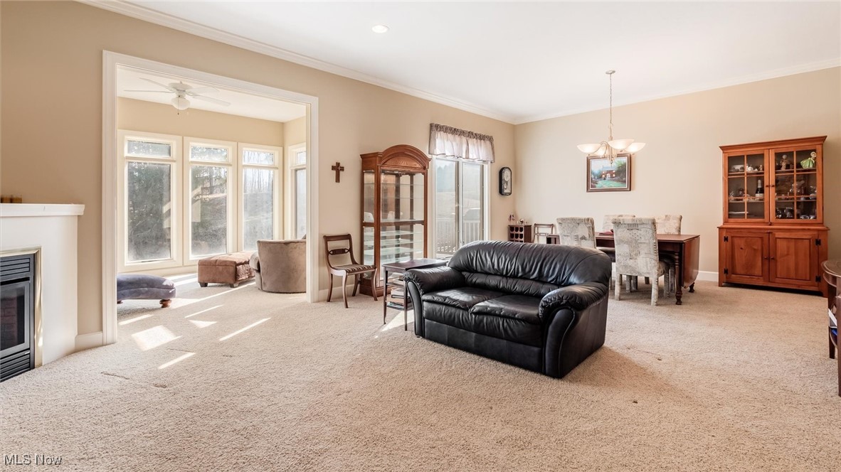 Village At Joes Run - Residential